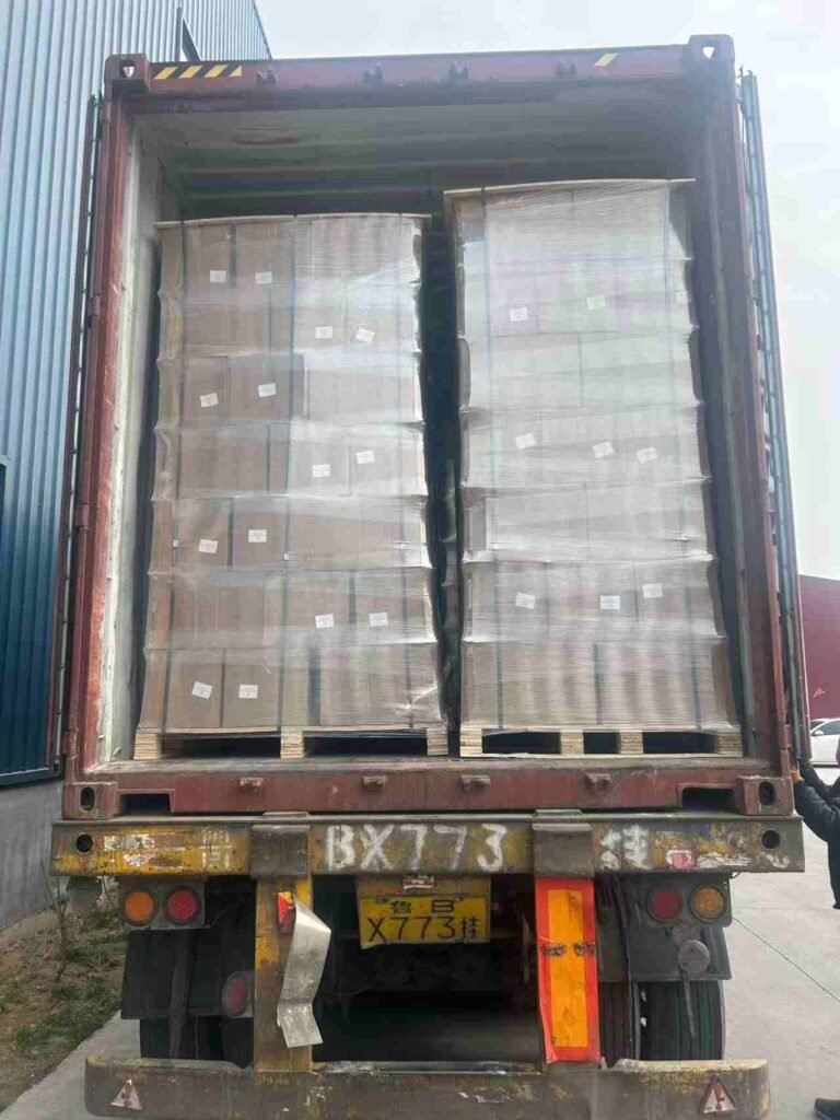 Fully Loaded Container with Palletized Goods